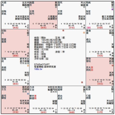 廉貞天府坐命|紫微斗數